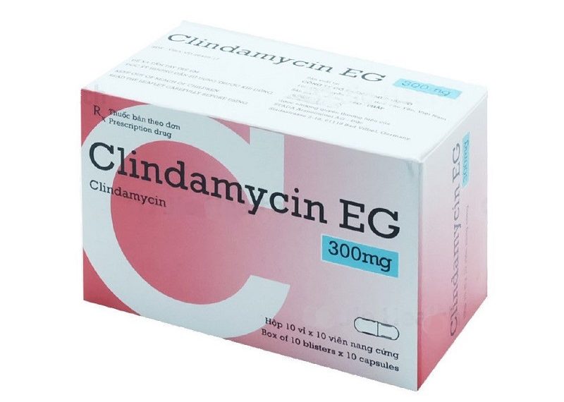 Thuốc kháng sinh Clindamycin